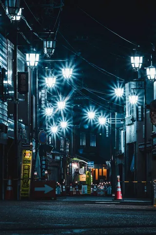 街灯たちの夜間会議