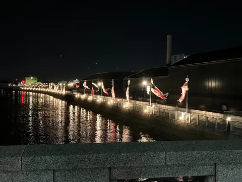 夜空に泳ぐ鯉のぼり