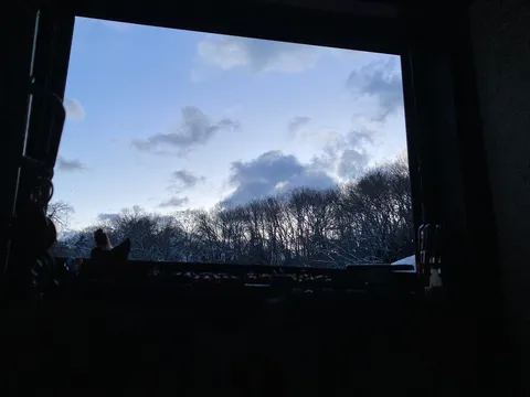 冬の静寂、窓辺の情景