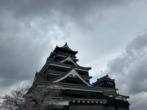 墨色に映える古城と桜