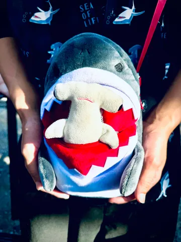 サメの口からひょっこり