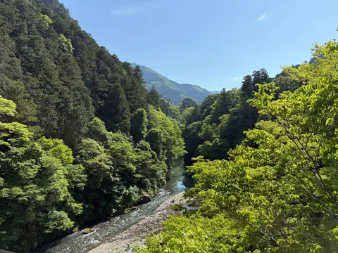 深緑に包まれる渓流の囁き