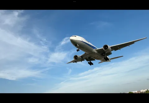 青空へ飛び立つ翼