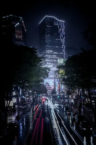 雨夜に浮かぶ光の道