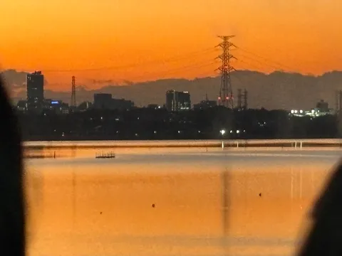 夕暮れの水面に揺れる光
