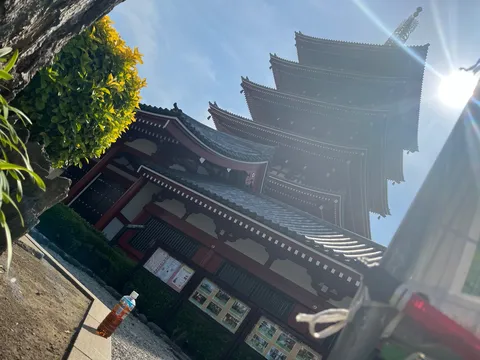 お茶が主役？五重塔を添えて