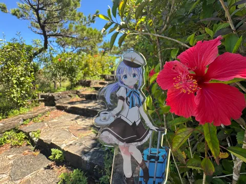 旅立ちのティータイム