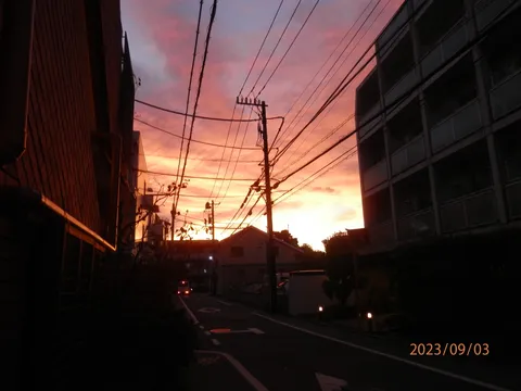 夕暮れの電線街路