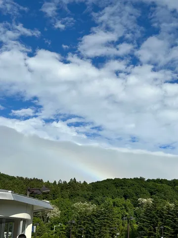 森と空を繋ぐ虹の架け橋