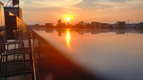 夕陽に照らされる都会のオアシス