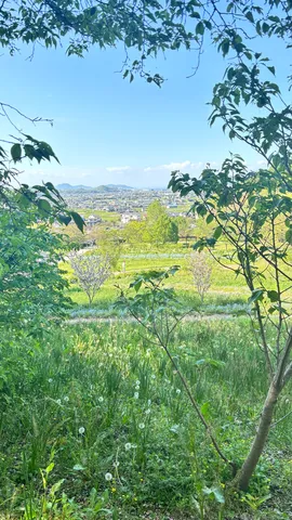緑に包まれた初夏の眺望