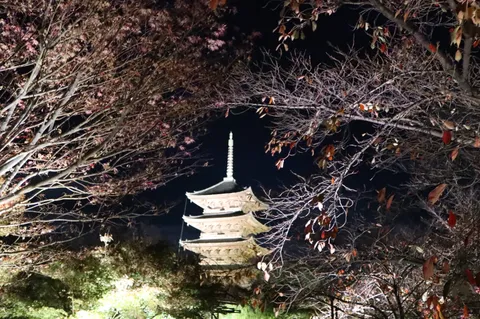 闇夜に浮かぶ古都の五重塔