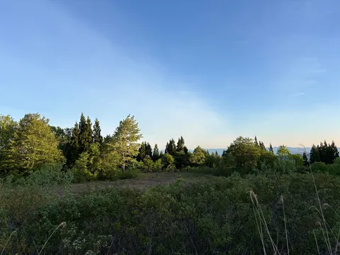 木漏れ日と青空のコントラスト