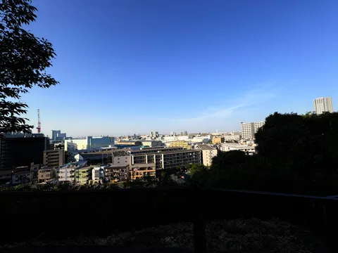高層ビルと緑のコントラスト