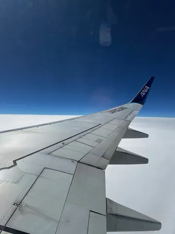 雲海を抜けるANAの翼