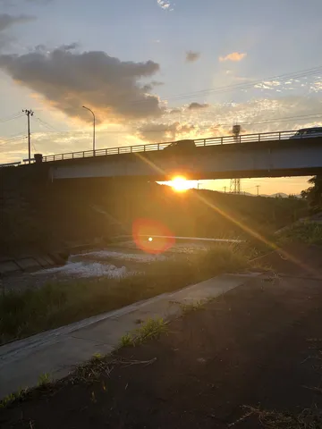 夕暮れ、橋を渡る車と光の戯れ