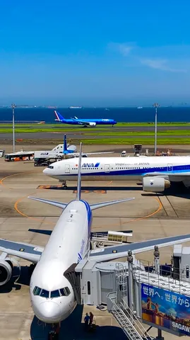 空と機体が青で踊る朝