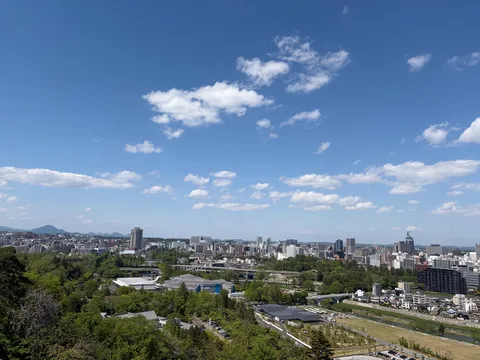 緑陰と都市のコントラスト
