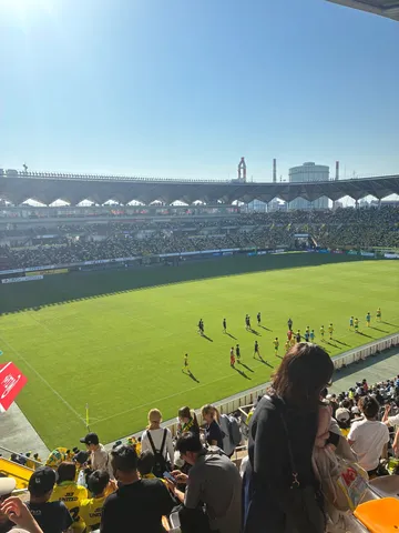 太陽が照らすサッカー観戦
