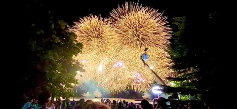 夜空を彩る光の芸術