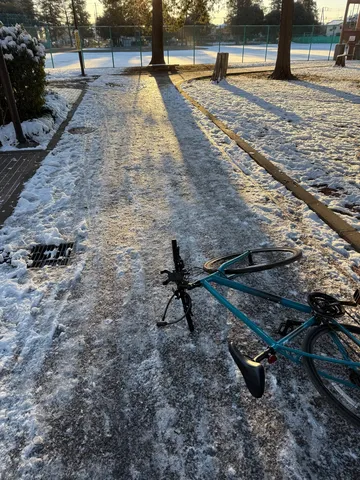 凍てつく道と佇む自転車