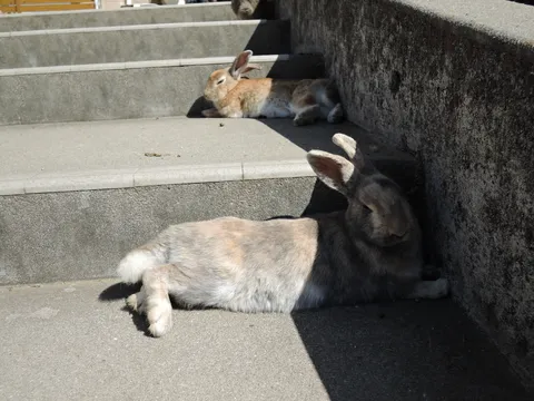 階段のプロ級リラックス術