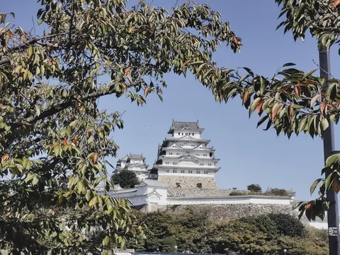 枝葉の隙間から望む白亜の城