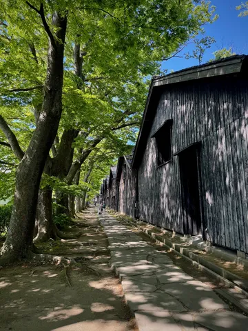 黒壁と緑陰の道