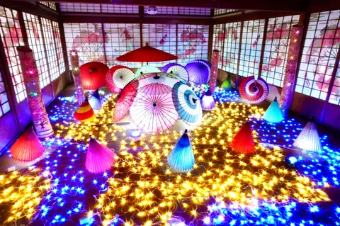 光の傘が舞い踊る幻想空間