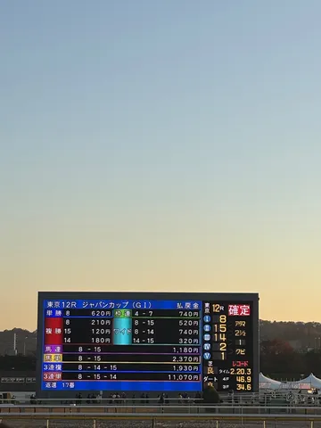競馬場の夕焼けと結果発表