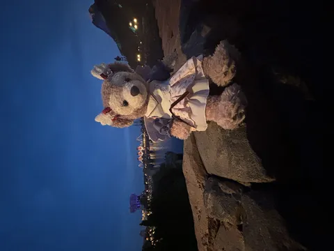 テーマパークの特別な夜