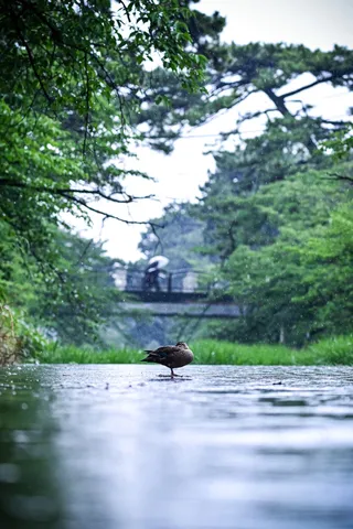 憩