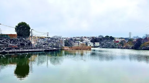 冬の静寂、雪化粧の湖畔