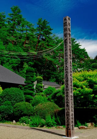 古木に刻まれた悠久の時