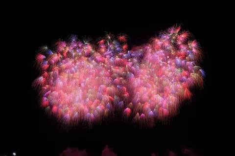 夜空を染める花火の群れ