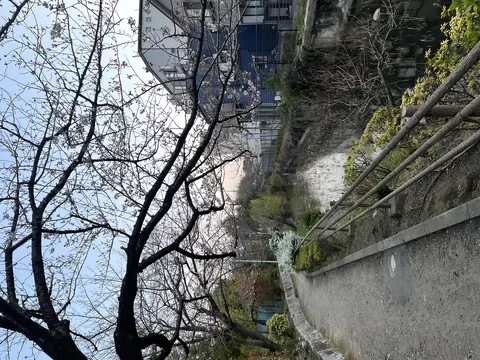 春めく水辺の散歩道