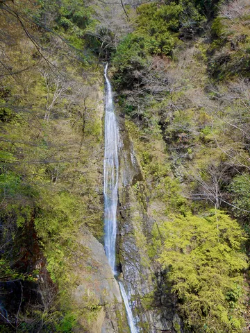 新緑と水しぶきの滝