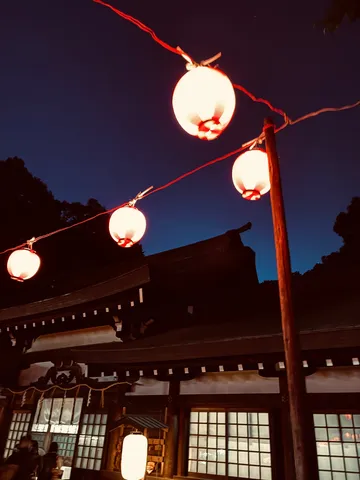 提灯が灯る夜の神社