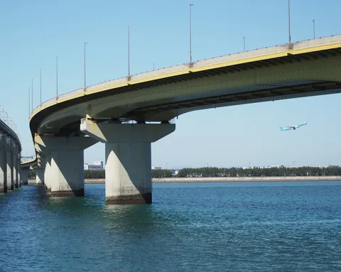 空と海と空を飛ぶ翼