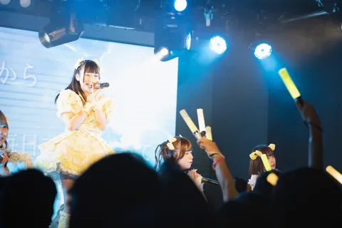 ステージに輝くアイドルたちの熱気