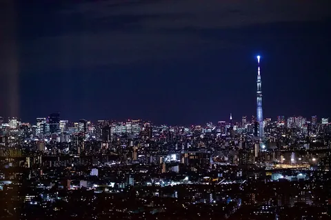 眠らない街の光、東京タワー