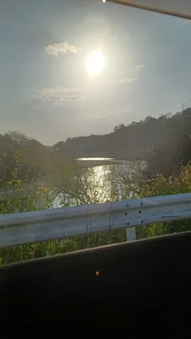 陽光に輝く水面