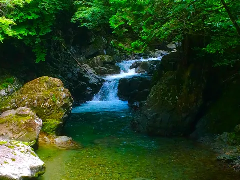 緑深き渓流の輝き