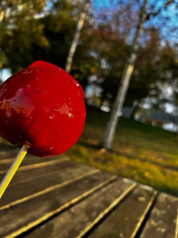 紅色の風に揺れる甘さ