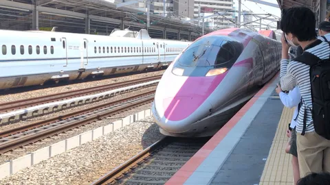 ピンクの疾風、白き兄弟