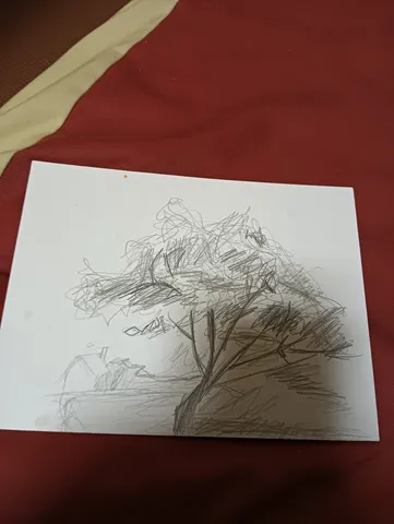 風をまとった木の影