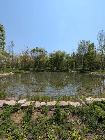 水辺に広がる静かな円景
