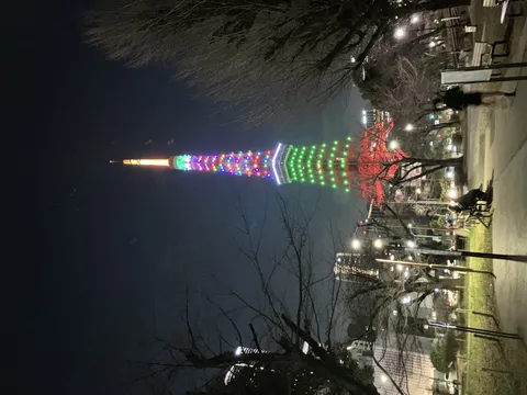 夜空に映える彩りの東京タワー