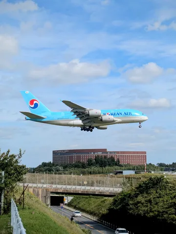 青い空と巨翼の瞬間