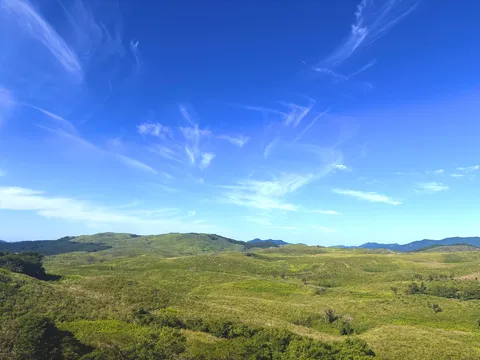 青空と草原の風景
